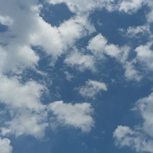 Meet your Posher, Gracelyn